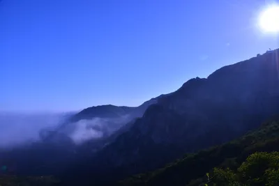 DSC_6159 (Large).JPG